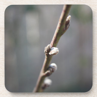 Dessous-de-verre Le printemps arrive
