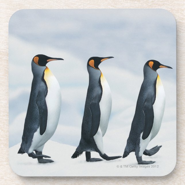 Dessous-de-verre Le Roi pingouins marchant dans le fichier unique (Devant)
