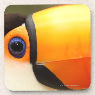 Dessous-de-verre Le toucan de Toco (toco de Ramphastos) est le plus