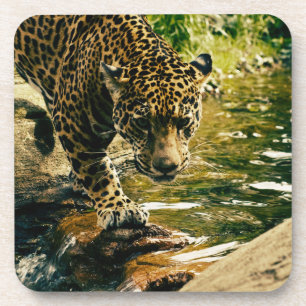Dessous-de-verre Leopard Crossing a Stream Photographie