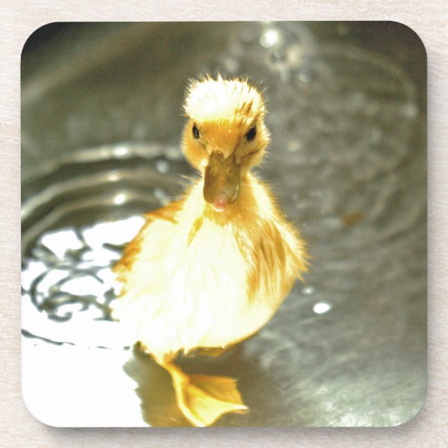 Dessous-de-verre Les canards ont un bain. (Devant)