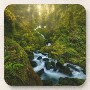 Dessous-de-verre Les cascades Parc National Olympique, Washington