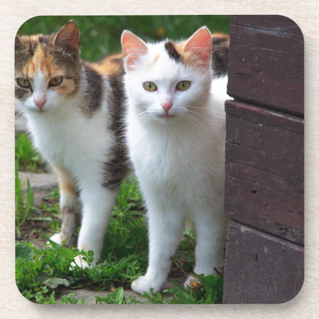 Dessous-de-verre Les chats jouent (Devant)