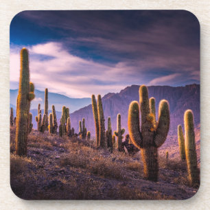 Dessous-de-verre Les déserts   Cactus Paysage Argentine