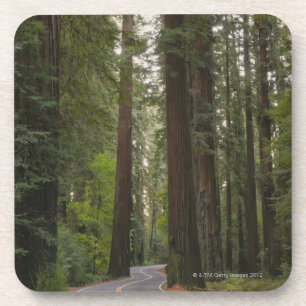 Dessous-de-verre Les Etats-Unis, la Californie, route par la forêt
