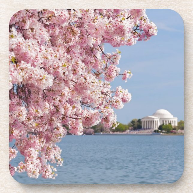 Dessous-de-verre Les Etats-Unis, Washington DC, cerisier (Devant)