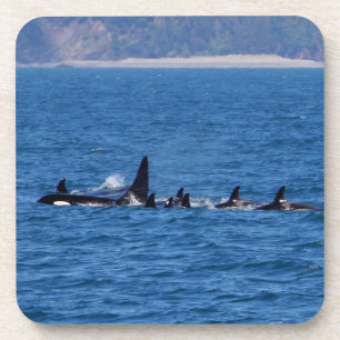 Dessous-de-verre Les familles s'assoient