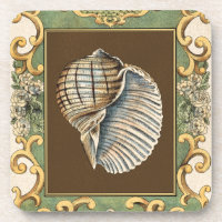 Les petites coquilles de sirène