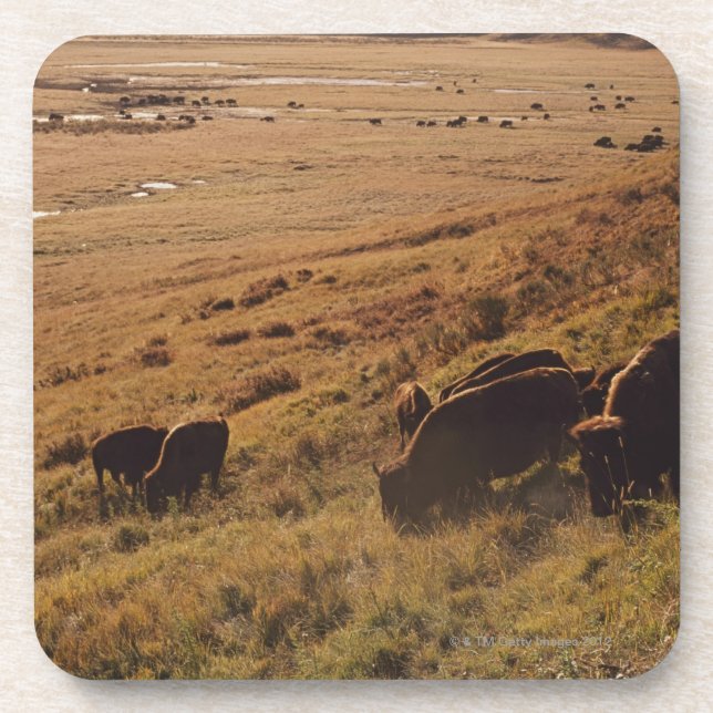 Dessous-de-verre Lever de soleil sur le bison (Devant)