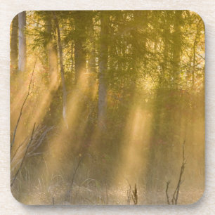 Dessous-de-verre Lever du soleil brumeux à Tamarac NWR près de Detr
