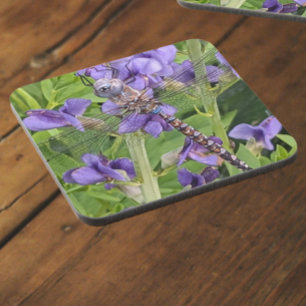 Dessous-de-verre Libellule Darner aux Yeux Bleus sur Fleurs Violett