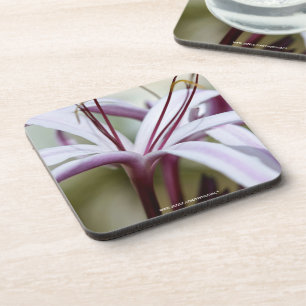 Dessous-de-verre Lily