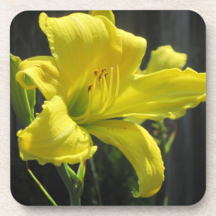 Dessous de verre Lily