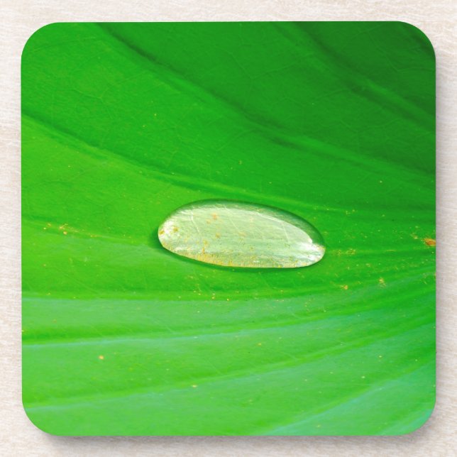 Dessous-de-verre Lily Pad Hard Plastic Coaster (Devant)
