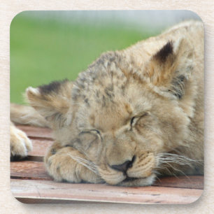 Dessous-de-verre Lion 014