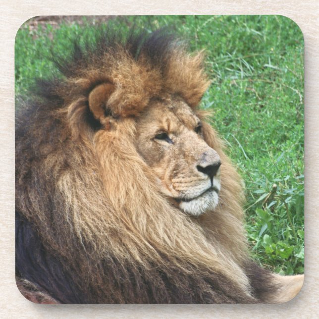 Dessous-de-verre Lion_2015_0701 (Devant)