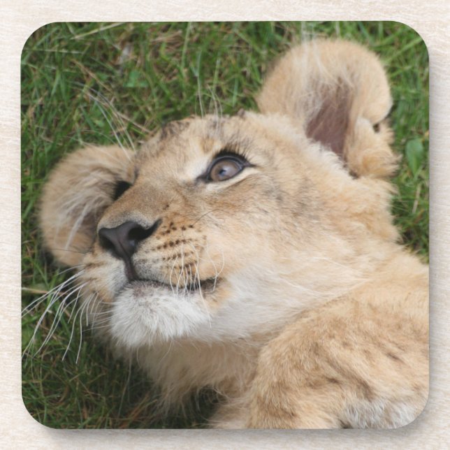 Dessous-de-verre Lion 22 (Devant)