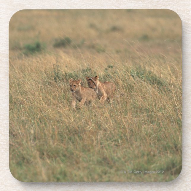 Dessous-de-verre Lion 9 (Devant)