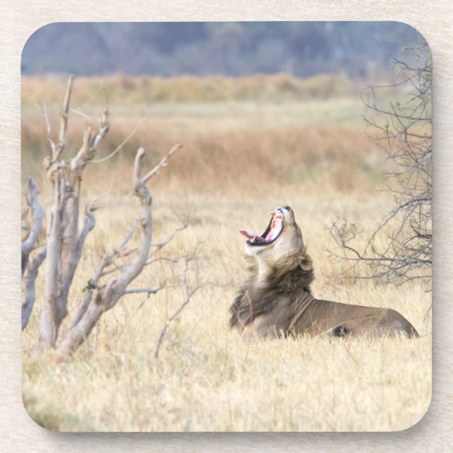 Dessous-de-verre Lion de Yawning (Devant)