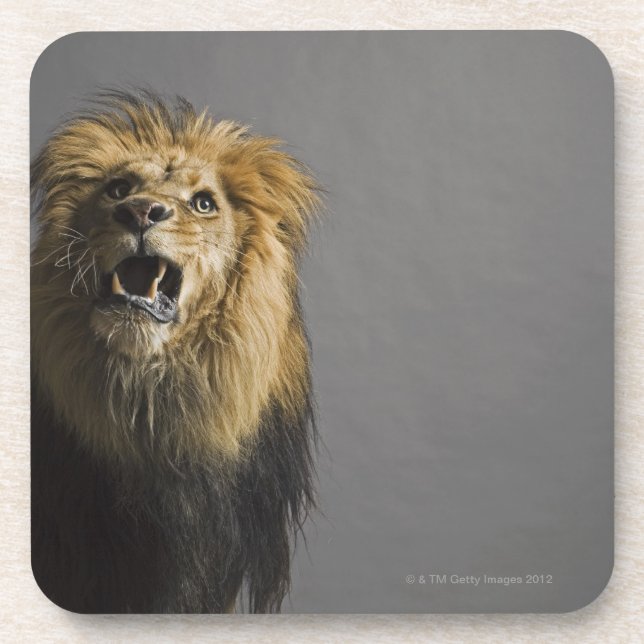 Dessous-de-verre Lion hurlant (Devant)