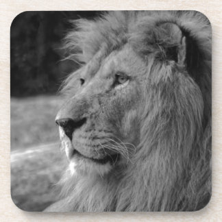 Dessous-de-verre Lion noir et blanc - Animal sauvage