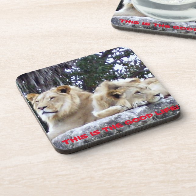 Dessous-de-verre Lions se reposant sur un rocher avec un message de (Côté gauche)