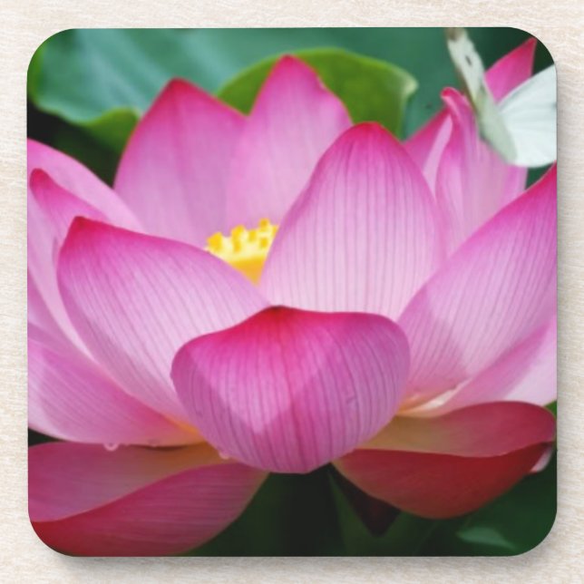 Dessous-de-verre Lotus flower & butterfly Plastic coasters (Devant)