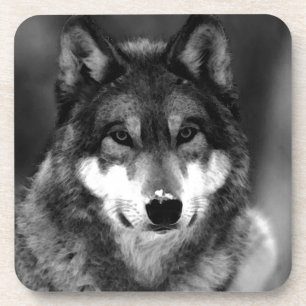 Dessous-de-verre Loup