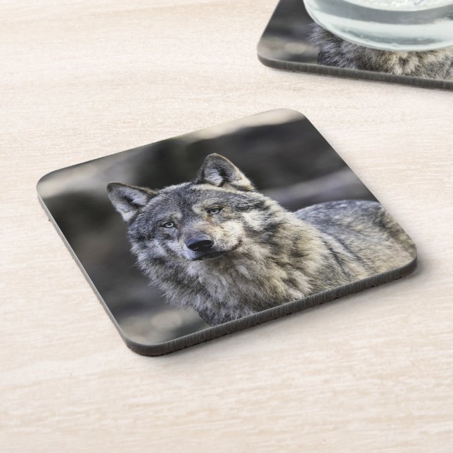 Dessous-de-verre Loup gris (Côté gauche)