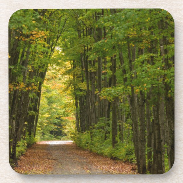 Dessous-de-verre Lumière au bout d'un tunnel d'arbres (Devant)