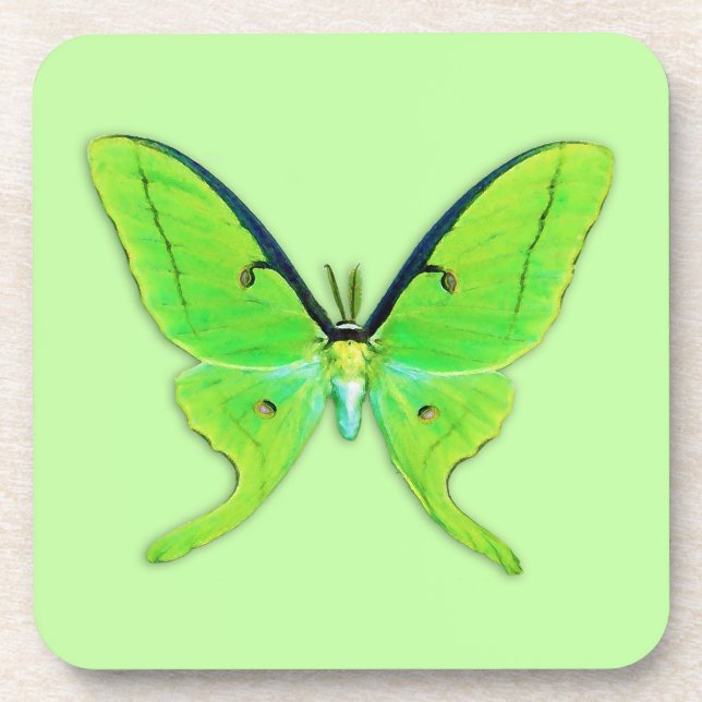 Dessous-de-verre Luna moth sur un arrière - plan vert pâle (Devant)