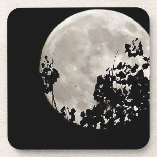 Dessous-de-verre Lune derrière feuilles sombres