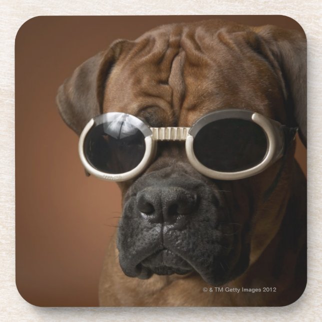 Dessous-de-verre Lunettes de soleil de port de chien (Devant)