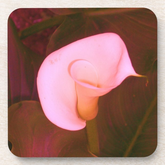 Dessous-de-verre Lys calla (Devant)