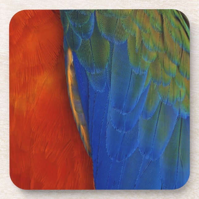 Dessous-de-verre Macaw Feathers (Devant)
