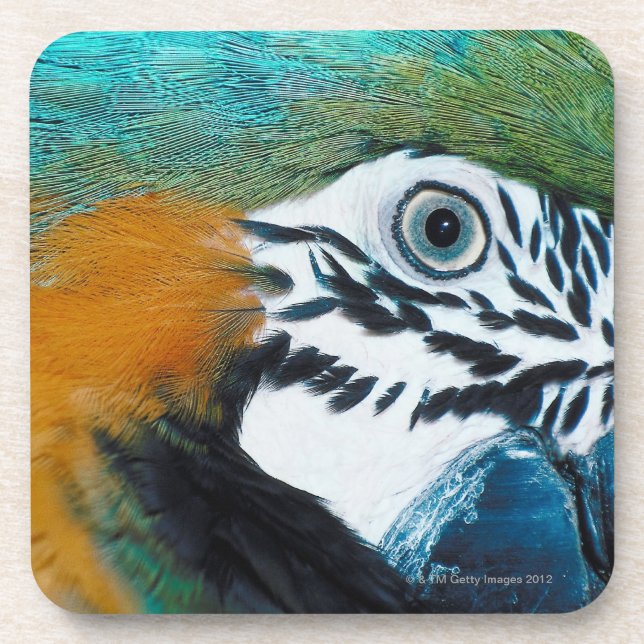 Dessous-de-verre MacawÊ Bleu-et-jaune (Devant)