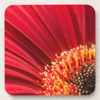 Dessous-de-verre Macro fleur rouge de marguerite de Gerbera