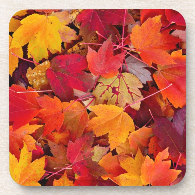 Dessous-de-verre Magnifiques Feuilles d'érable (Devant)