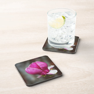 Dessous-de-verre Magnolia rose pleine floraison