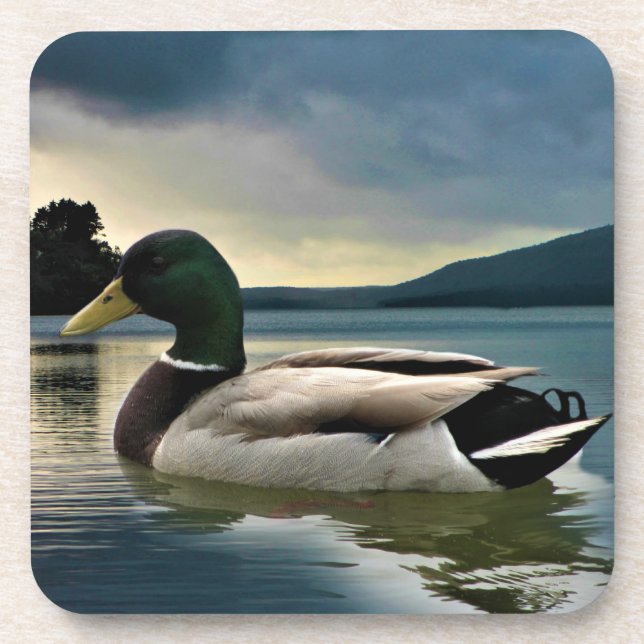 Dessous-de-verre Mallard Duck On The Lake (Devant)