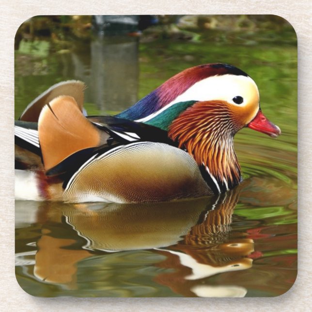 Dessous-de-verre Mandarin Duck (Devant)