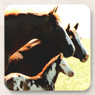 Dessous-de-verre Mares et Chevaux à l'épreuve