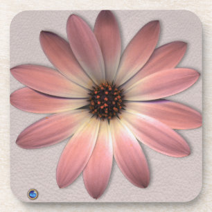 Dessous-de-verre Marguerite Rose - Image de Fond de Texture en Cuir