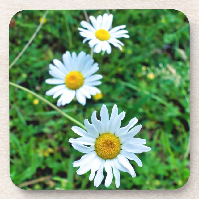 Dessous-de-verre Marguerites oculaires (Devant)
