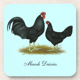 Dessous-de-verre Marsh Daisy Chickens