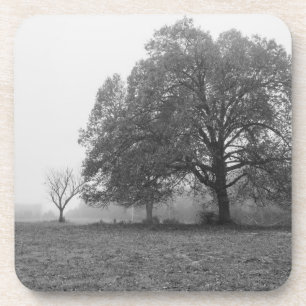 Dessous-de-verre Matin Automnal Brumeux en Niveaux de Gris