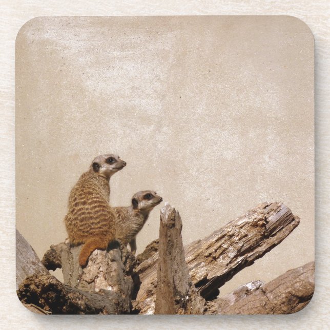 Dessous-de-verre Meerkat Lookout (Devant)