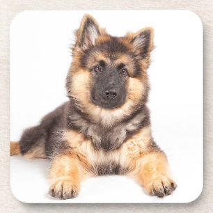 Dessous-de-verre Mélange de berger allemand de Collie Bordure