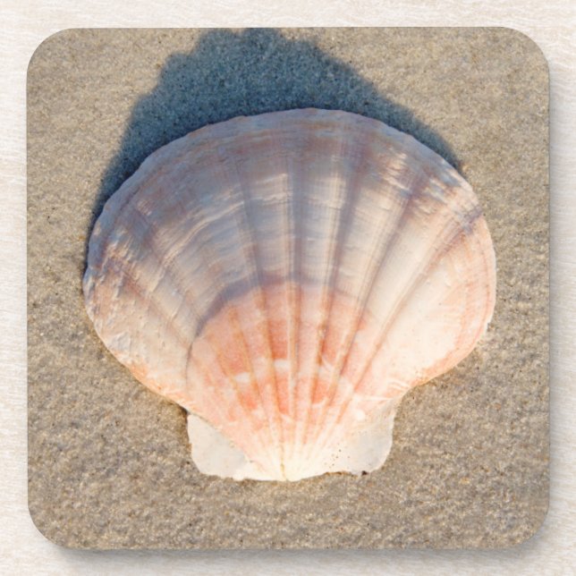Dessous-de-verre Mer Shell s'étendant sur la plage sablonneuse (Devant)