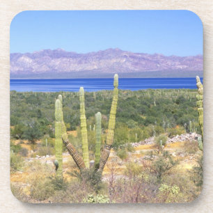 Dessous-de-verre Mexique, Basse-Californie du Sud, Cardon Cactus à